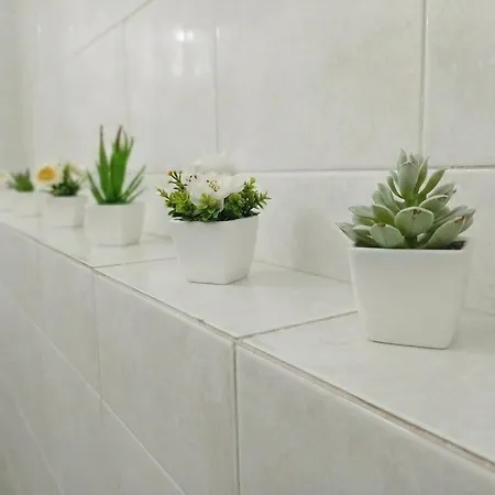 아파트 La Maison Di Rosy *